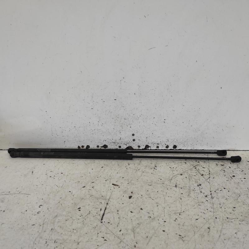 bonnet hinge/strut