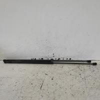 bonnet hinge/strut