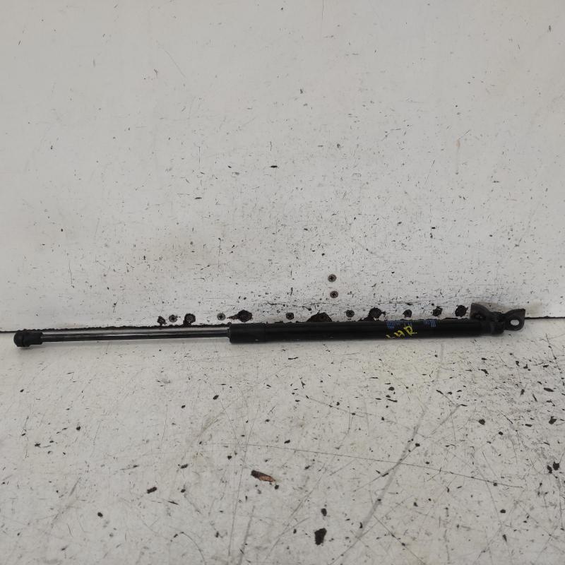 hatch strut