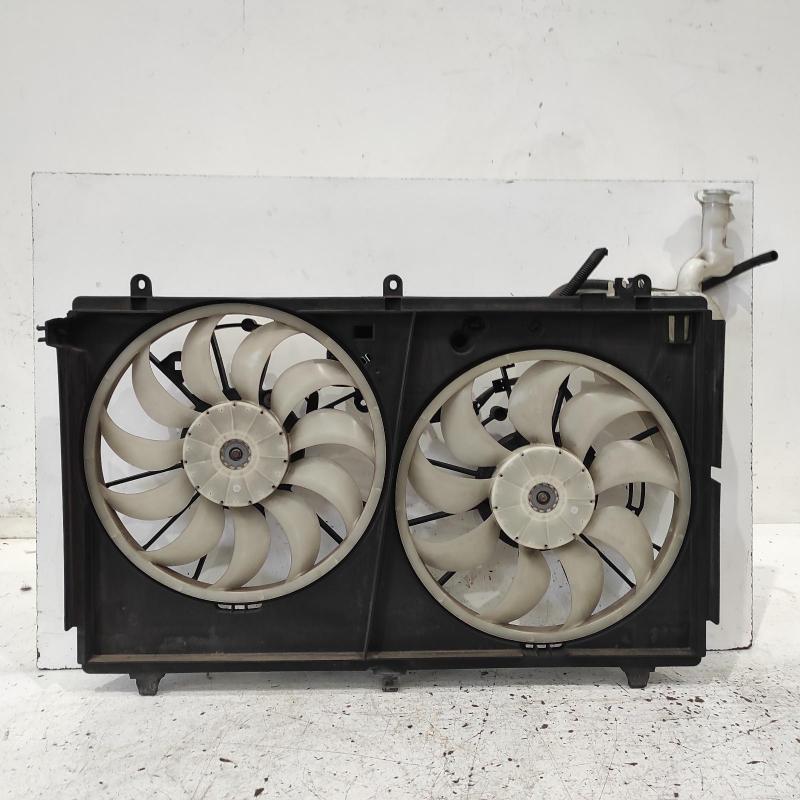 fan