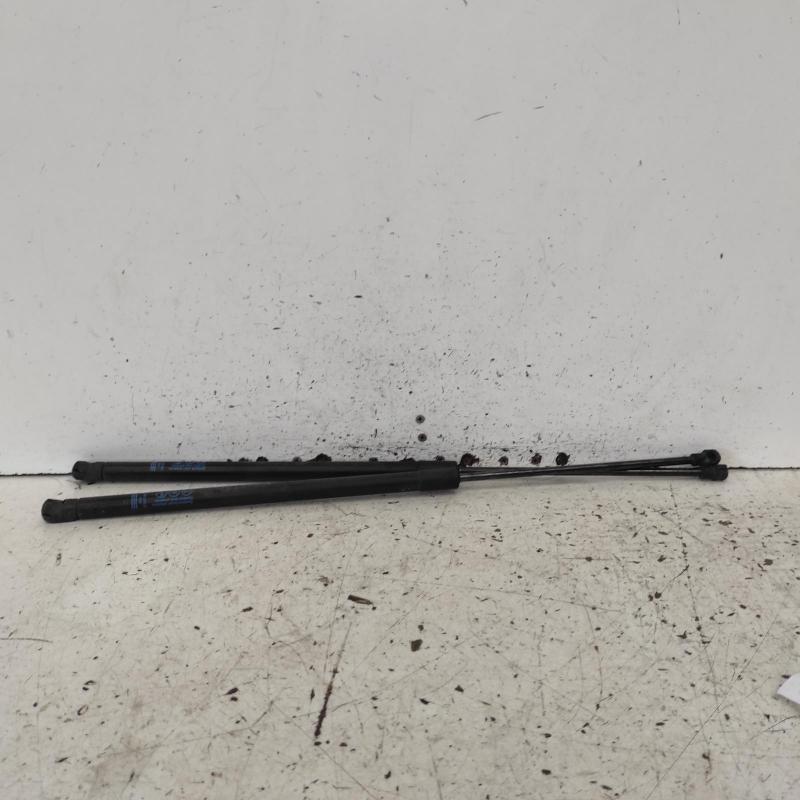 hatch strut