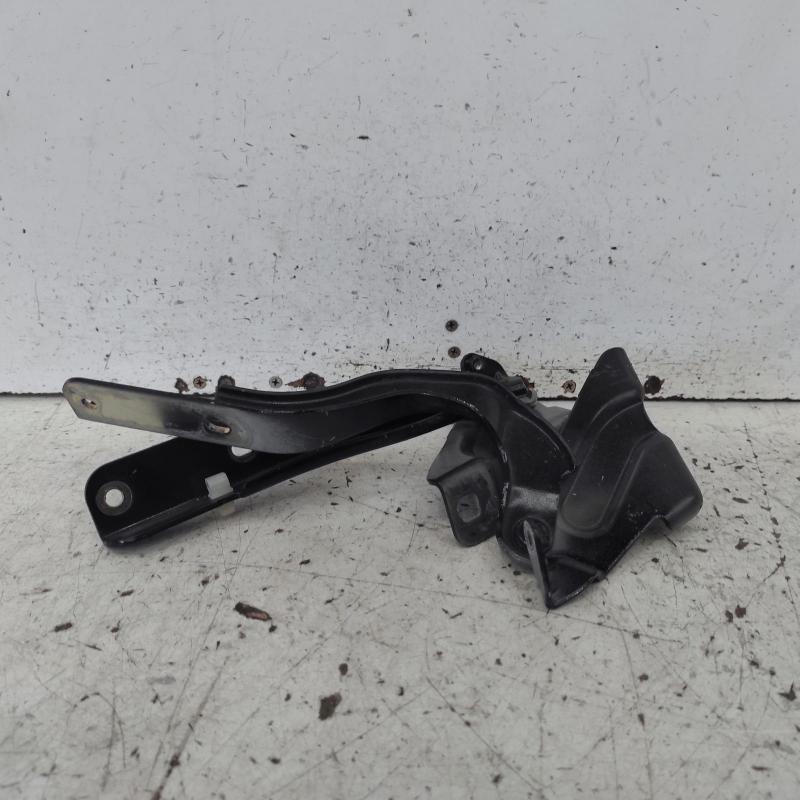 bonnet hinge/strut