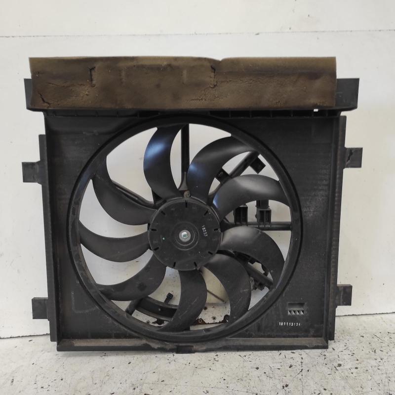 fan