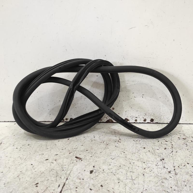 body seal ruber