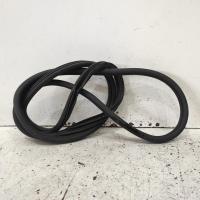 body seal ruber