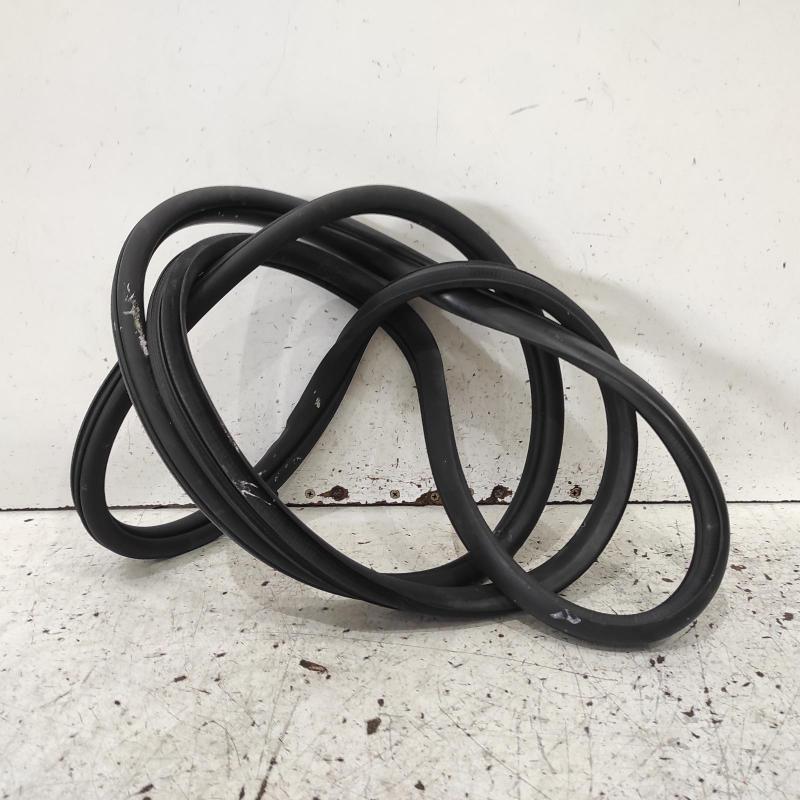 body seal ruber