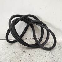 body seal ruber