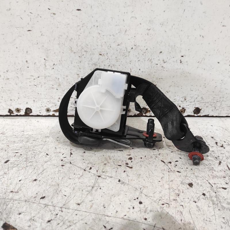 seat belt stalk