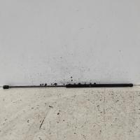 bonnet hinge/strut