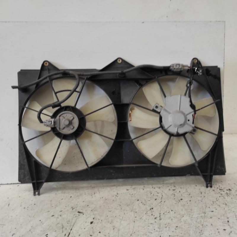 fan