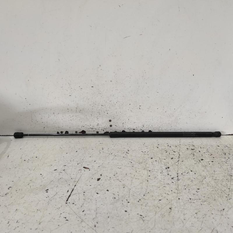 bonnet hinge/strut