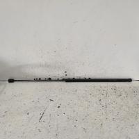 bonnet hinge/strut
