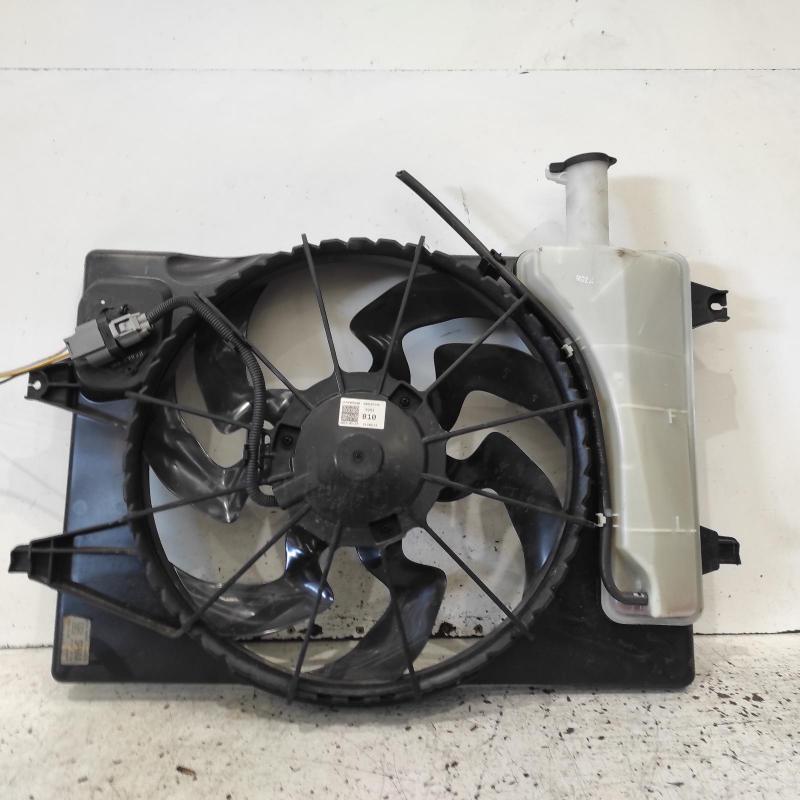 fan