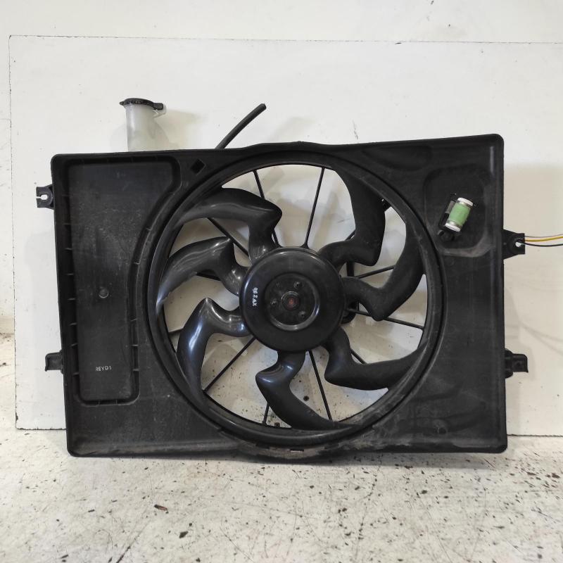 fan