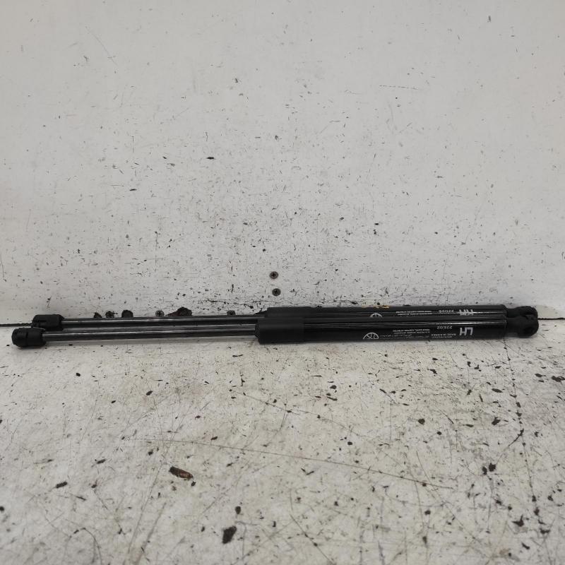 hatch strut