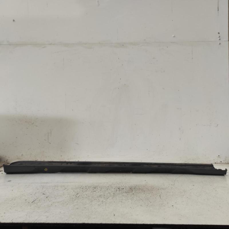 body/door mould