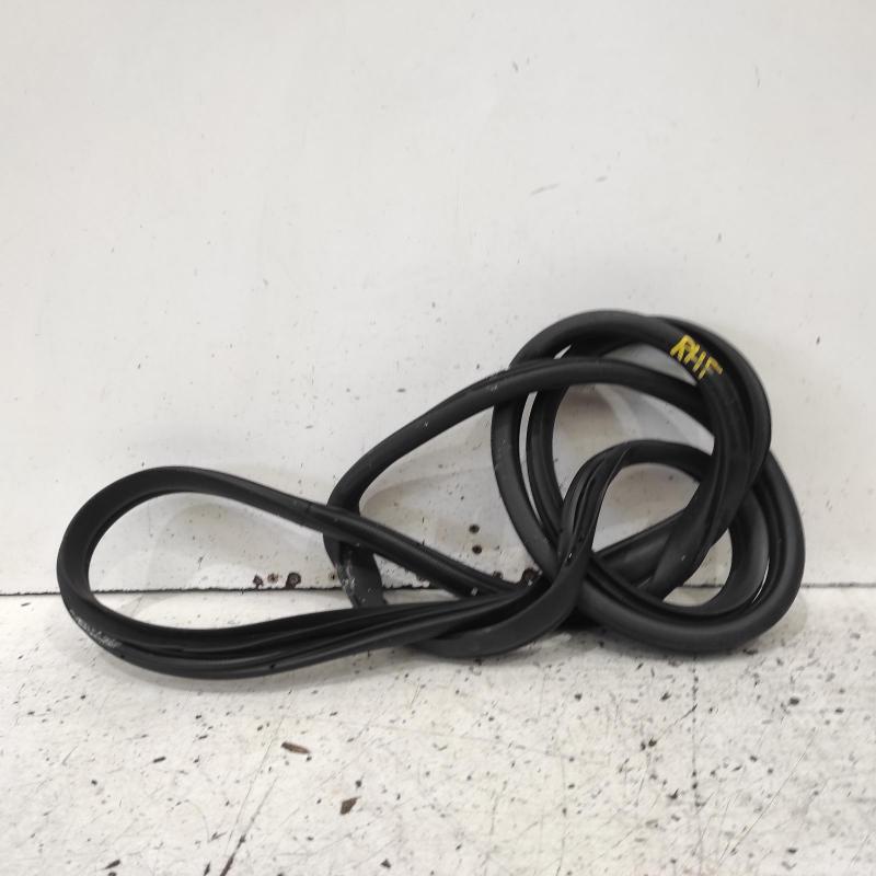 body seal ruber