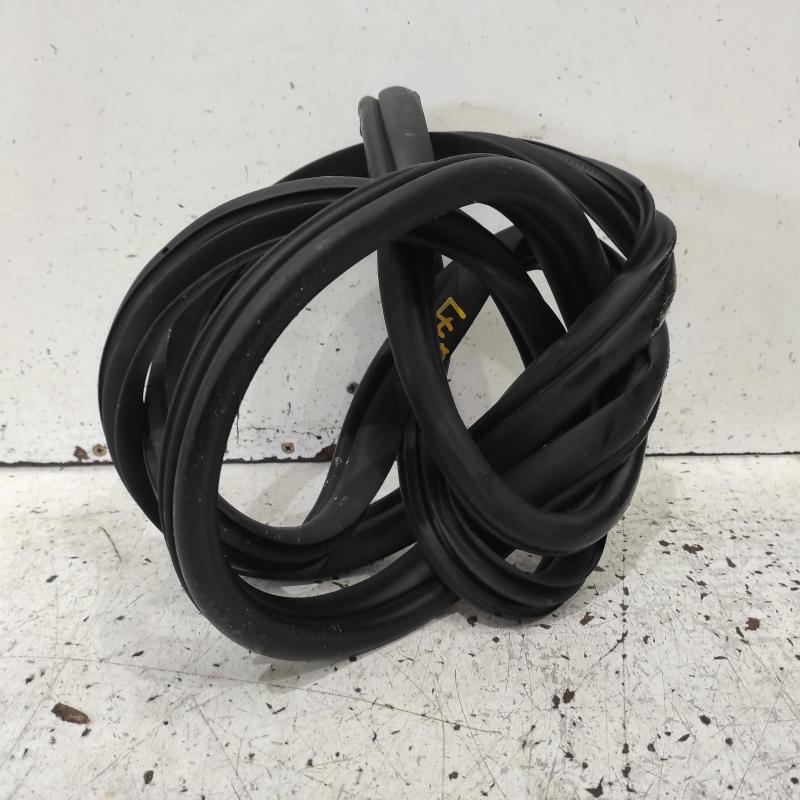 body seal ruber