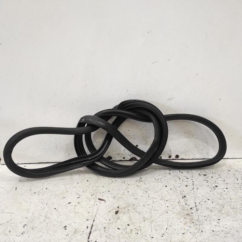 body seal ruber