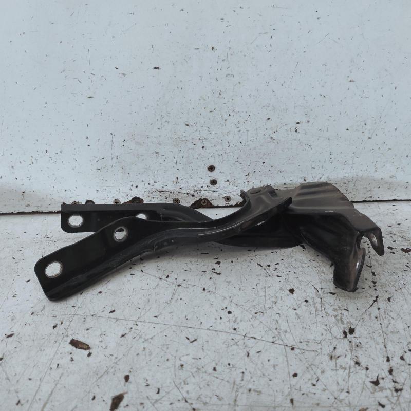 bonnet hinge/strut