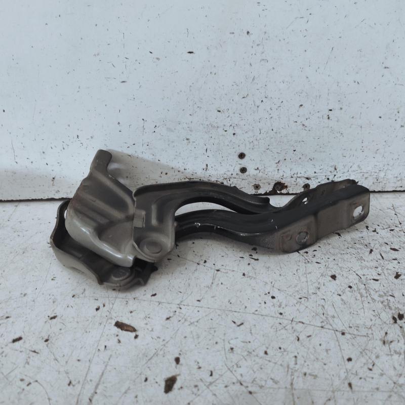 bonnet hinge/strut