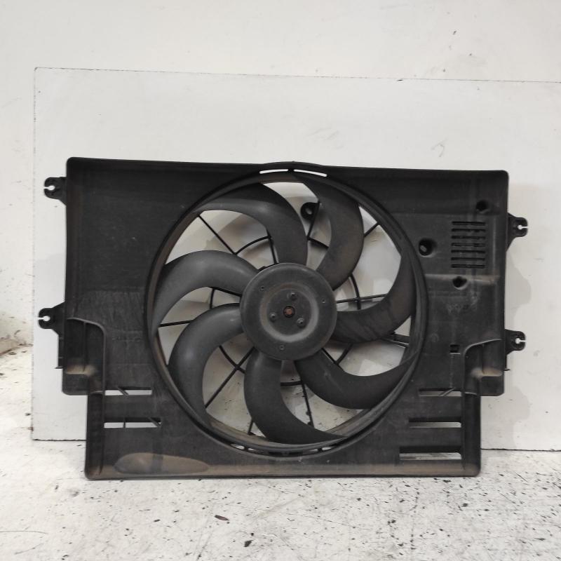 fan