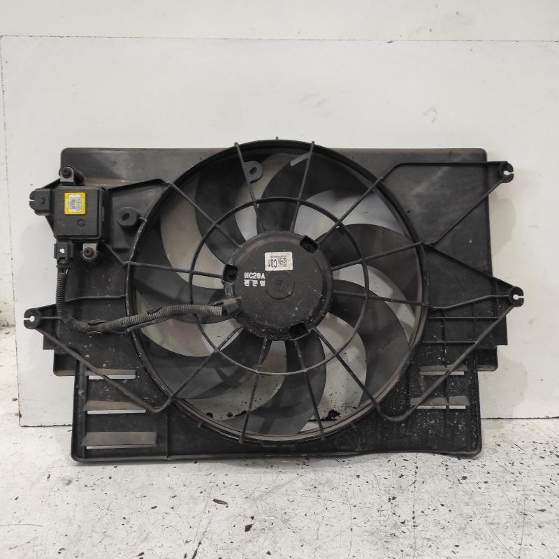 fan