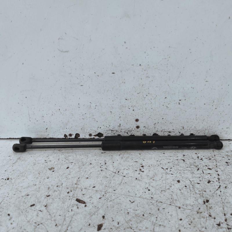hatch strut