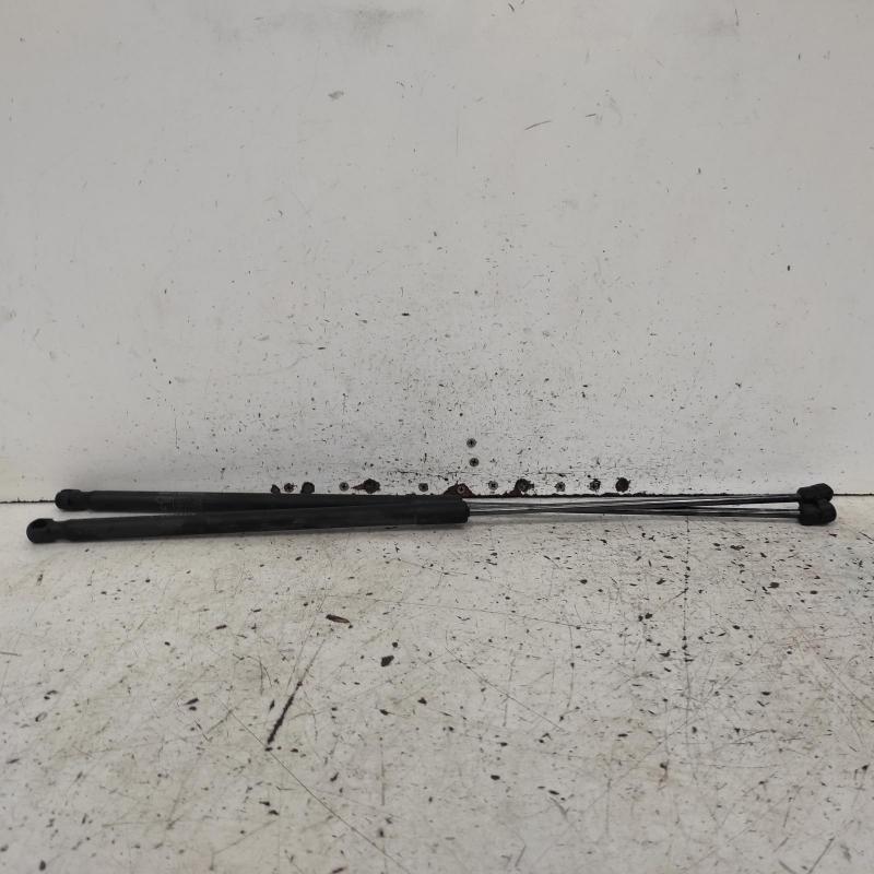 bonnet hinge/strut