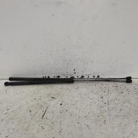 bonnet hinge/strut