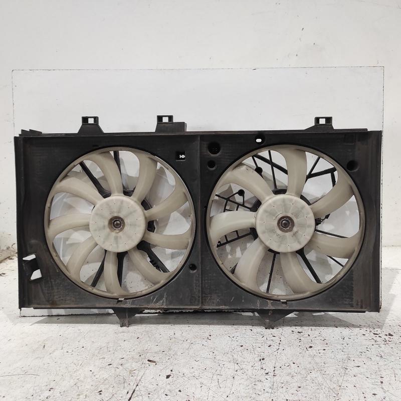 fan