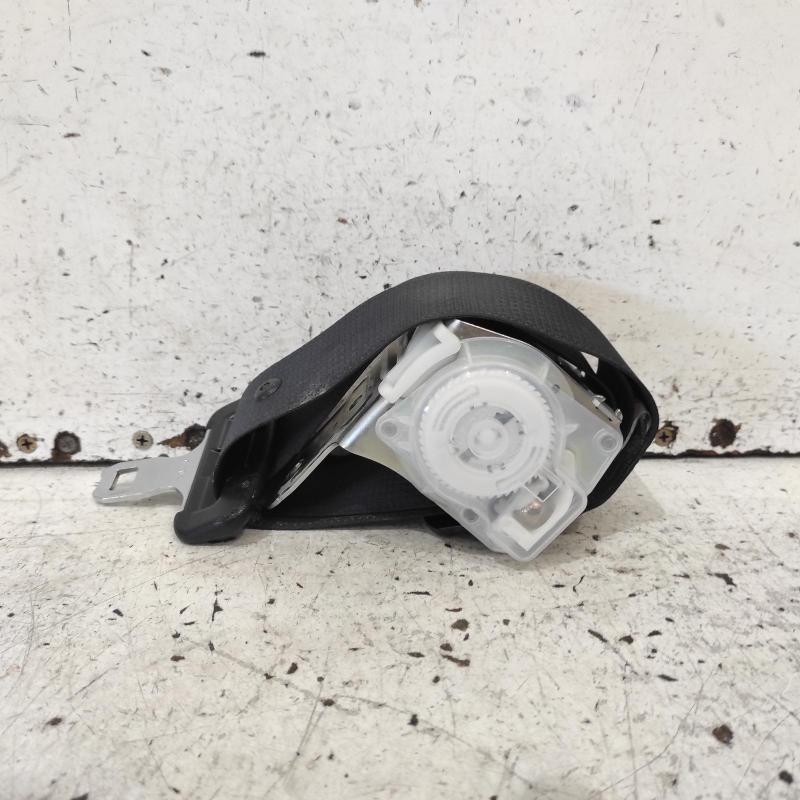 seat belt stalk