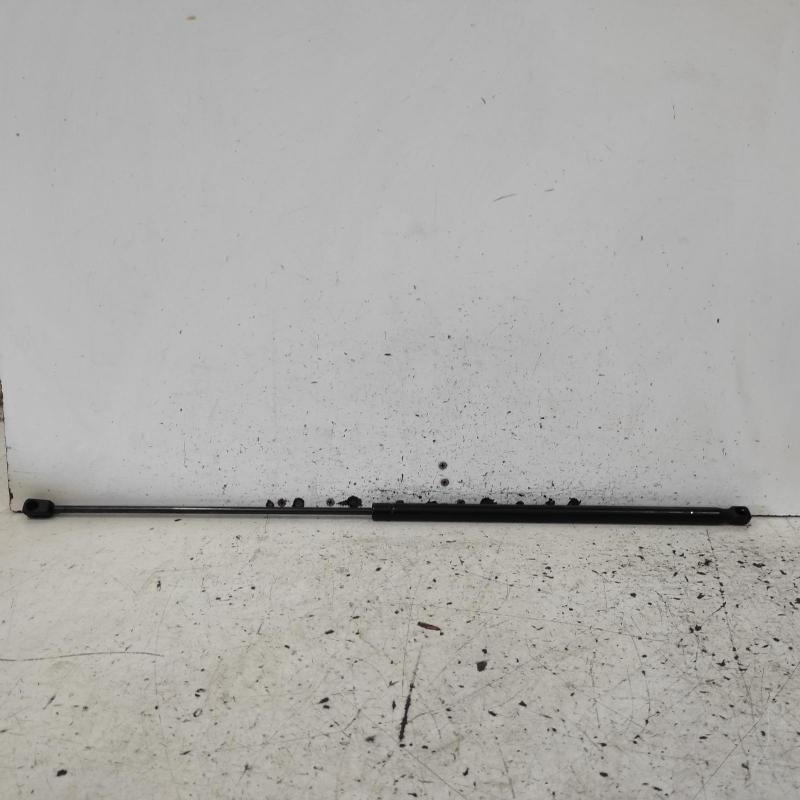 bonnet hinge/strut