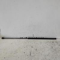 bonnet hinge/strut