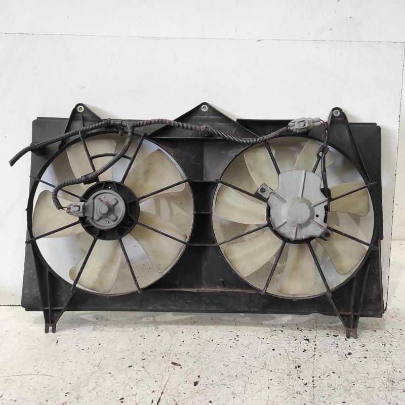fan