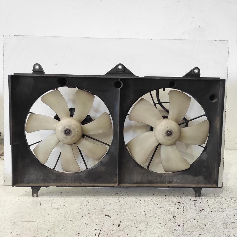 fan