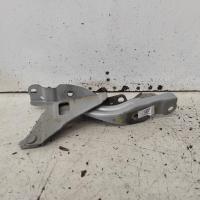bonnet hinge/strut