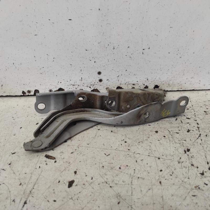 bonnet hinge/strut