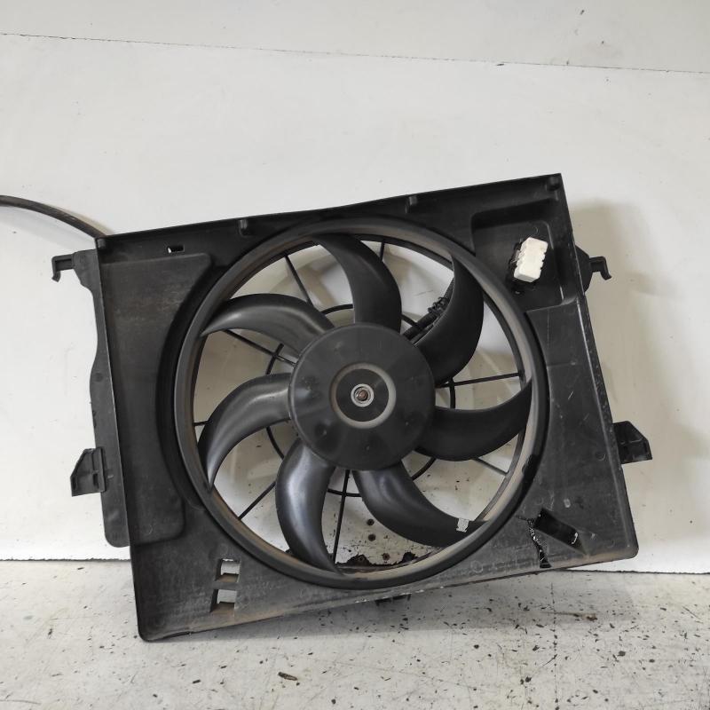fan