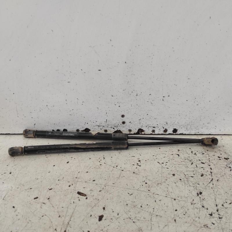 hatch strut