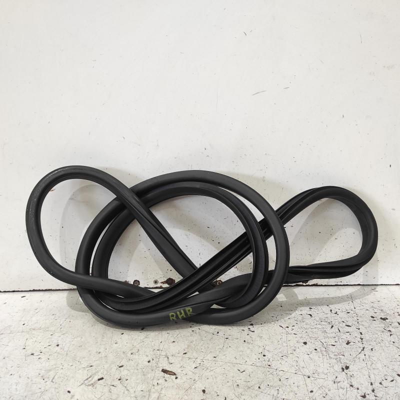 body seal ruber