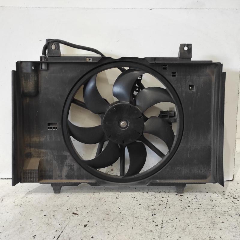 fan