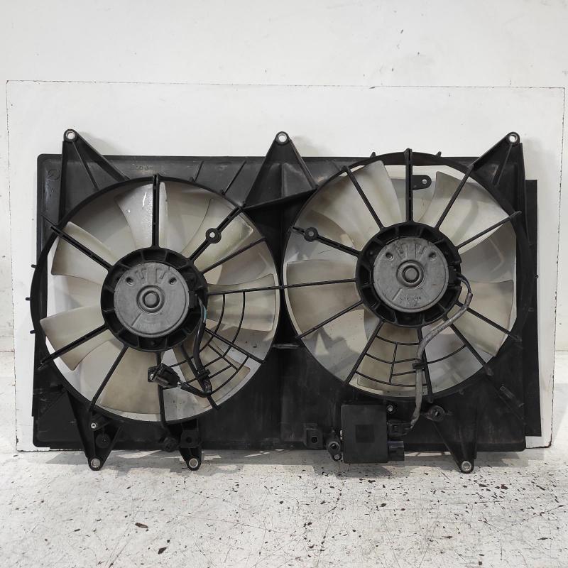 fan