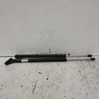 hatch strut