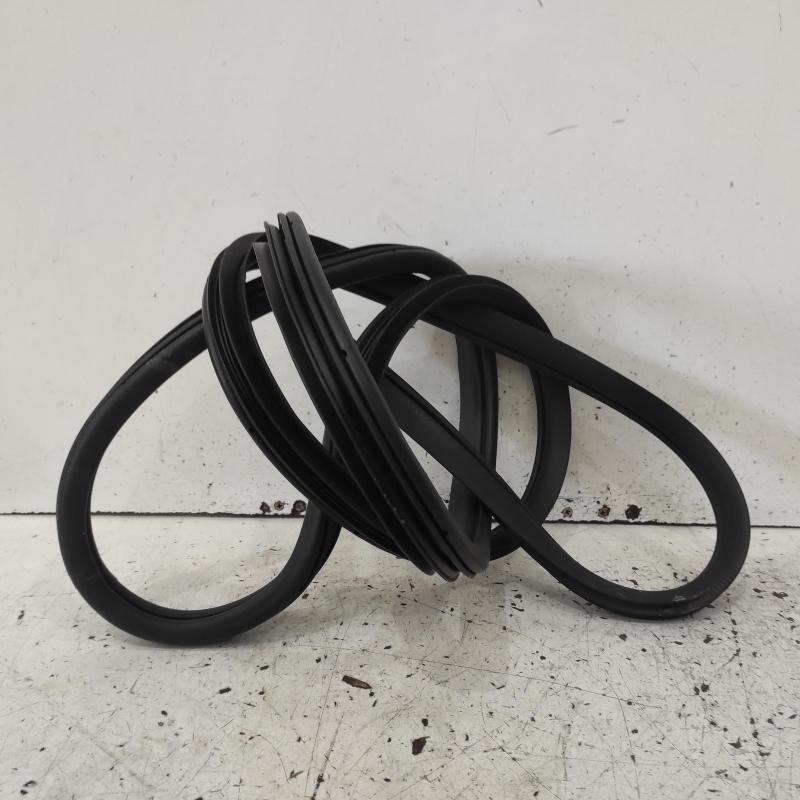 body seal ruber