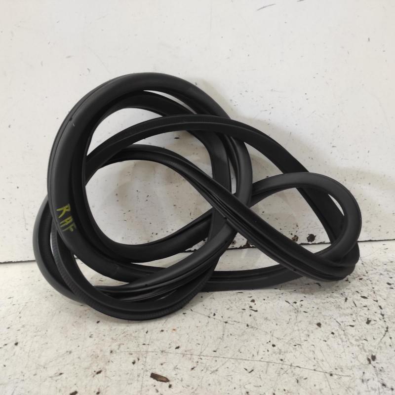 body seal ruber