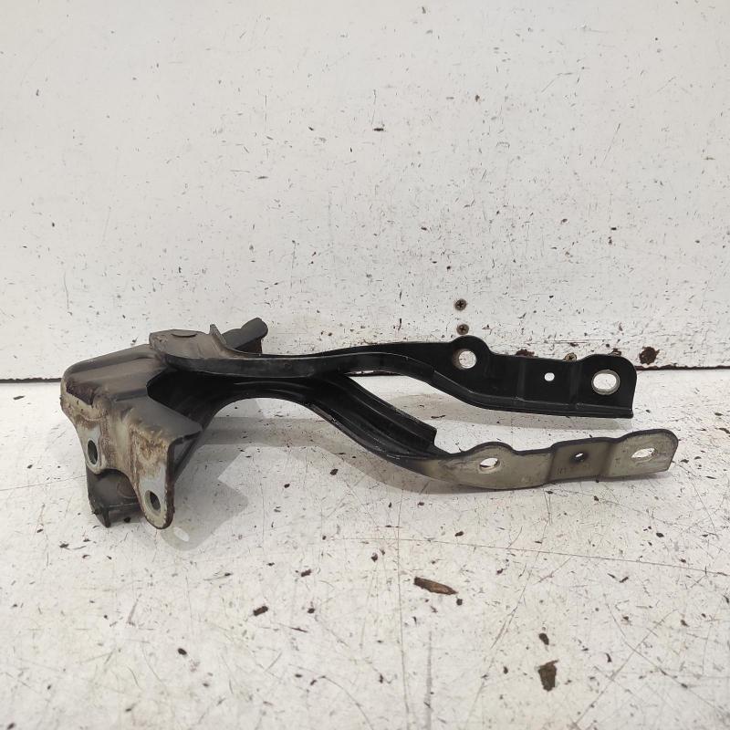bonnet hinge/strut