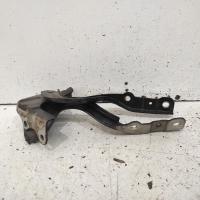 bonnet hinge/strut