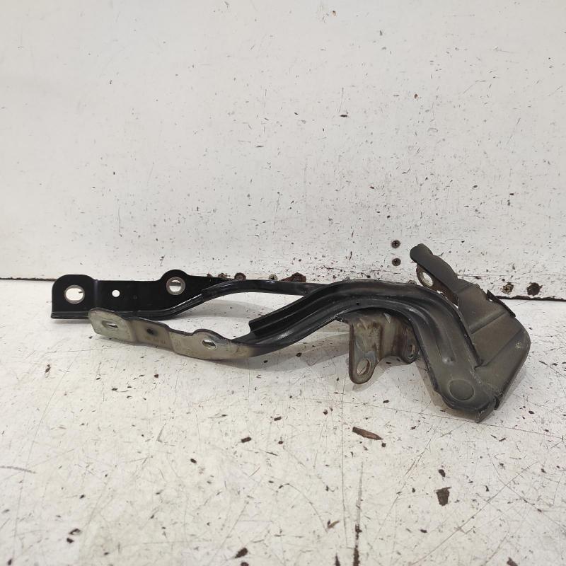 bonnet hinge/strut