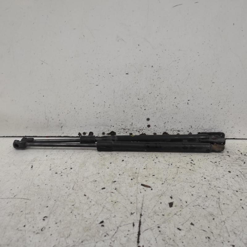 hatch strut